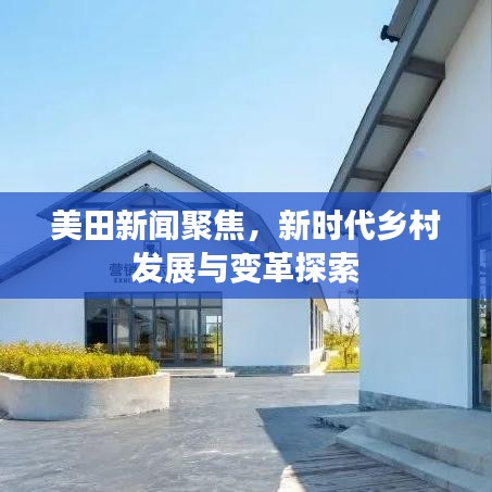 美田新闻聚焦，新时代乡村发展与变革探索