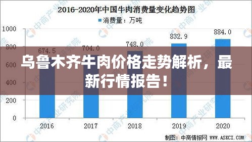 乌鲁木齐牛肉价格走势解析,最新行情报告!