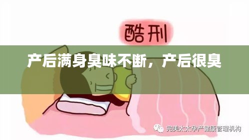 产后满身臭味不断,产后很臭