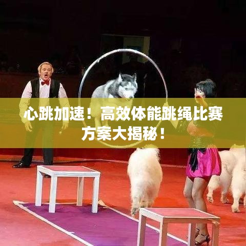 心跳加速!高效体能跳绳比赛方案大揭秘!