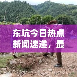 东坑今日热点新闻速递，最新消息一览无余