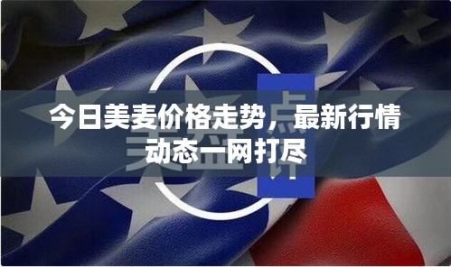 今日美麦价格走势,最新行情动态一网打尽