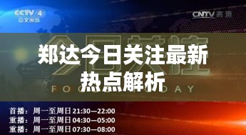 郑达今日关注最新热点解析