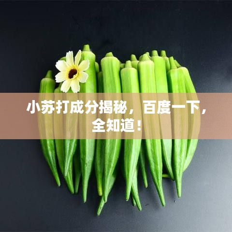 小苏打成分揭秘，百度一下，全知道！