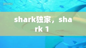 shark独家，shark 1 
