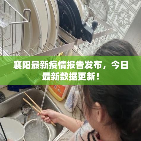 襄阳最新疫情报告发布，今日最新数据更新！