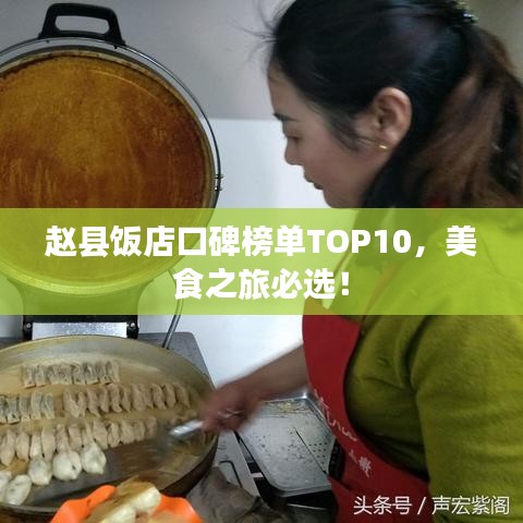 赵县饭店口碑榜单TOP10，美食之旅必选！