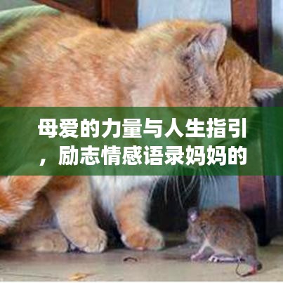 母爱的力量与人生指引，励志情感语录妈妈的心声