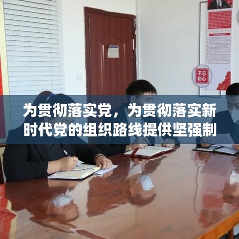 为贯彻落实党,为贯彻落实新时代党的组织路线提供坚强制度保证