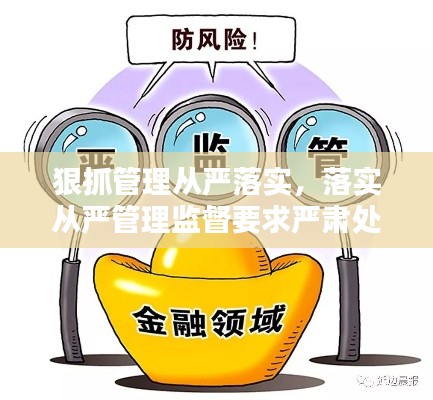 狠抓管理从严落实，落实从严管理监督要求严肃处理什么 