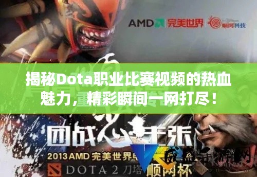 揭秘Dota职业比赛视频的热血魅力，精彩瞬间一网打尽！