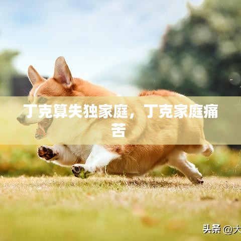 丁克算失独家庭，丁克家庭痛苦 