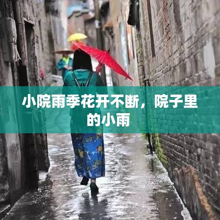 小院雨季花开不断,院子里的小雨