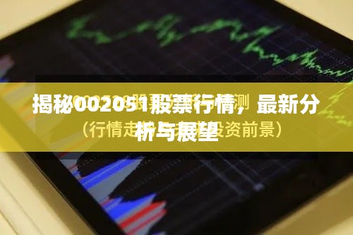 揭秘002051股票行情,最新分析与展望