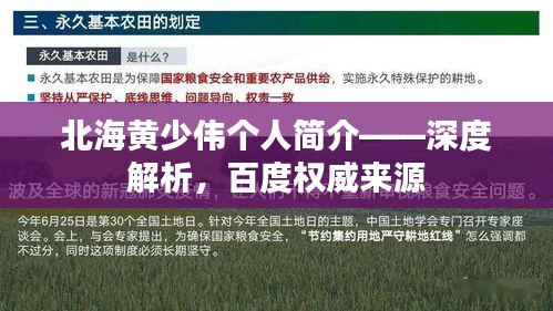 在线支付 第78页