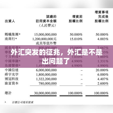 外汇突发的征兆,外汇是不是出问题了