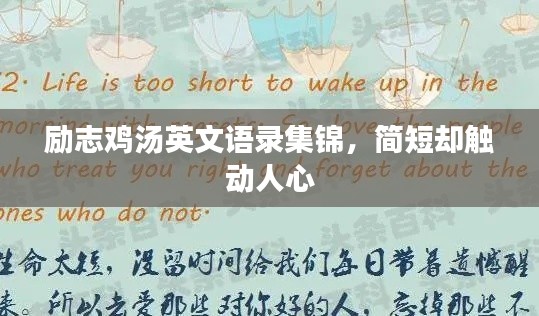 励志鸡汤英文语录集锦，简短却触动人心
