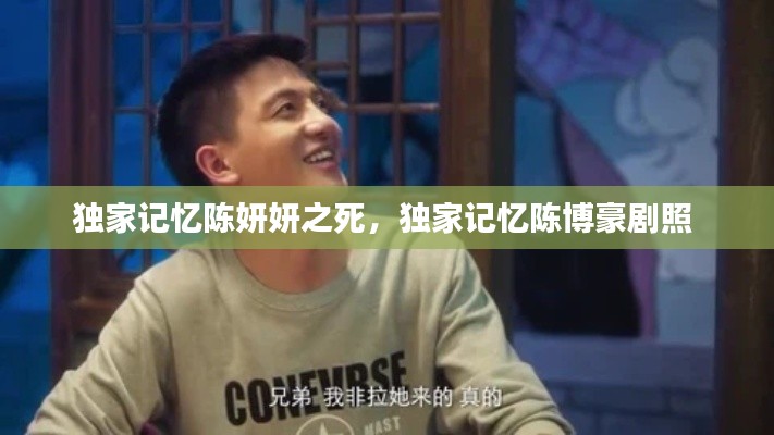 独家记忆陈妍妍之死,独家记忆陈博豪剧照