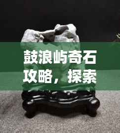 鼓浪屿奇石攻略,探索石头的秘密,畅游鼓浪屿!