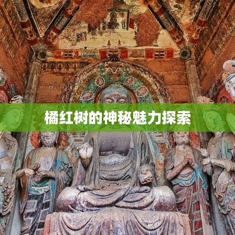 橘红树的神秘魅力探索