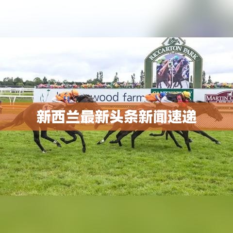 新西兰最新头条新闻速递