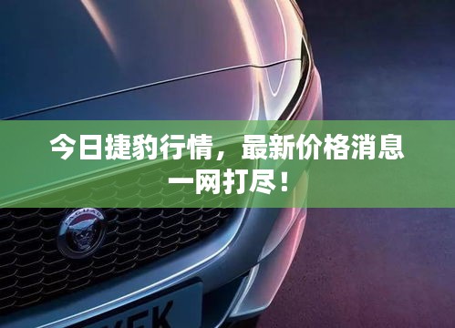 今日捷豹行情,最新价格消息一网打尽!