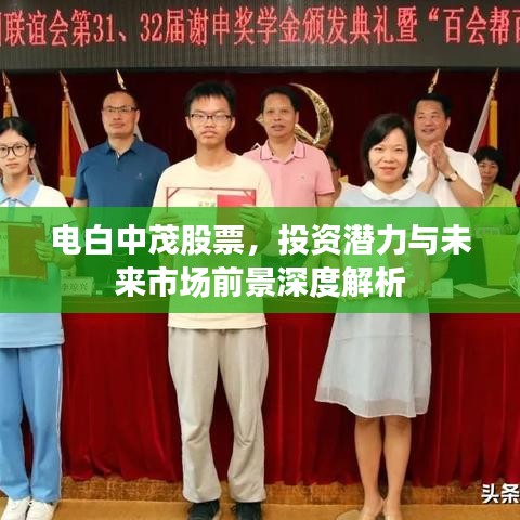 电白中茂股票,投资潜力与未来市场前景深度解析