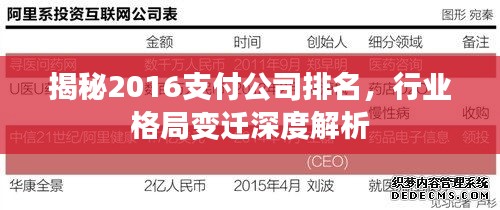 揭秘2016支付公司排名,行业格局变迁深度解析