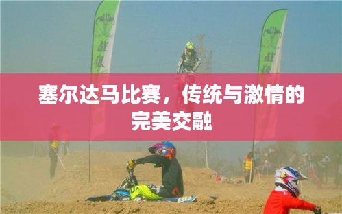 塞尔达马比赛，传统与激情的完美交融